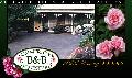 Bed and Breakfast - Accommodation
