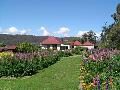 Bed and Breakfast - Accommodation