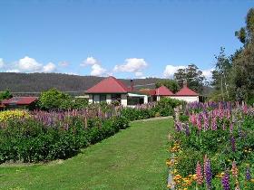 Bed and Breakfast - Fentonbury