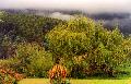 Farm Stay - Accommodation