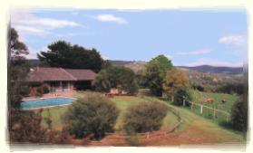 Bed and Breakfast - healesville